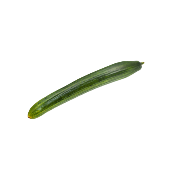 continental cucumber