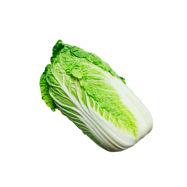 wombok cabbage