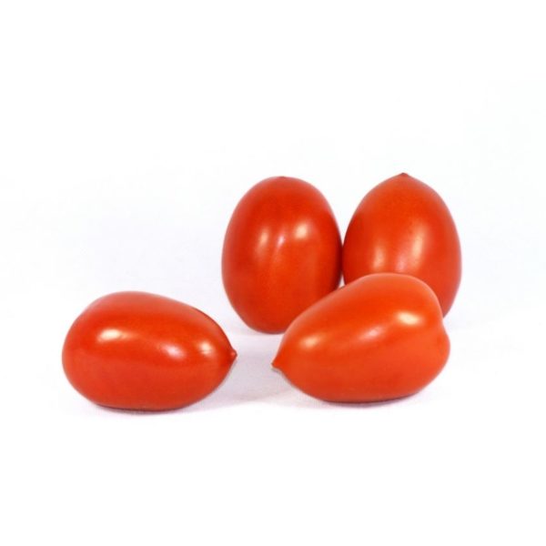 Tomatoes roma