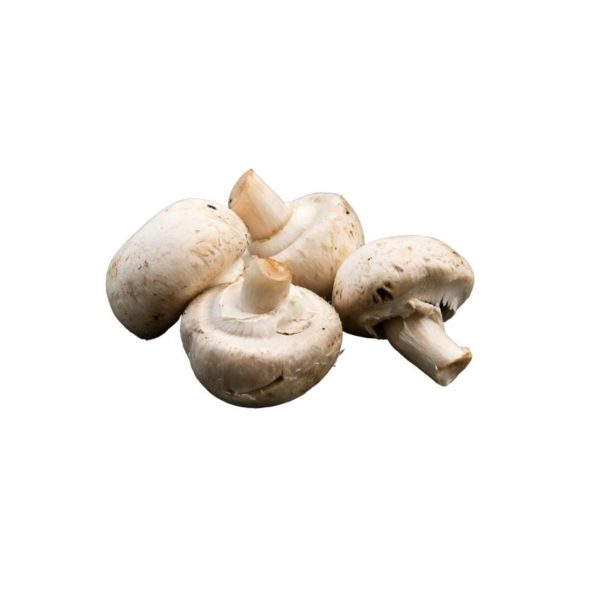 Cup mushrooms1